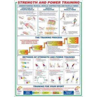 Strength And Power Training Chart by Podium 4 Sport by Podium 4 Sport