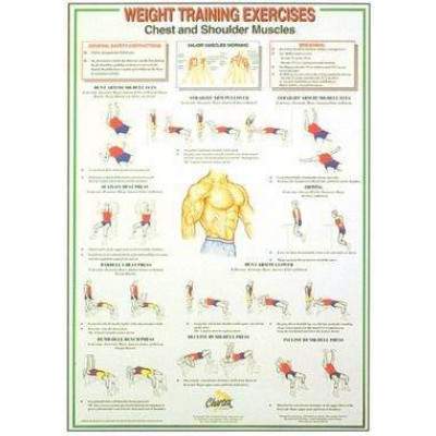 Dumbbell And Barbell Weigh Training Instruction Charts (set of 6) by Podium 4 Sport
