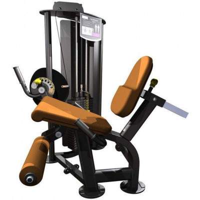Indigo Fitness Selectorised Leg Extension by Podium 4 Sport
