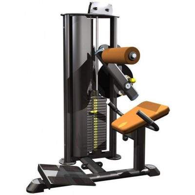 Indigo Fitness Selectorised Seated Back Extension by Podium 4 Sport